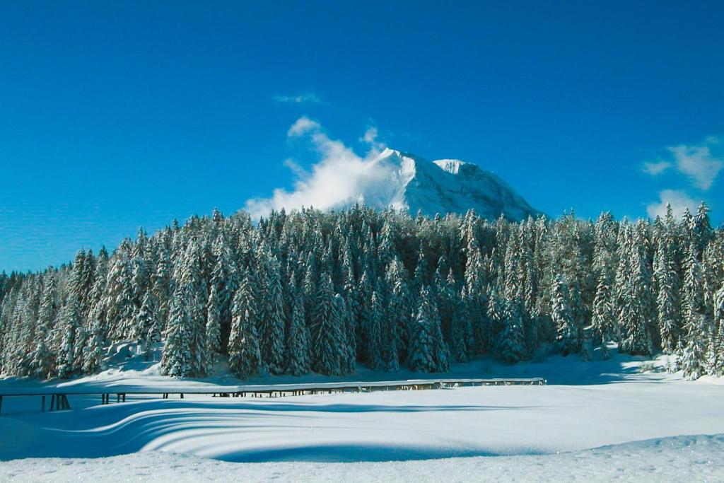 Hotel Hochland Лойташ Екстериор снимка